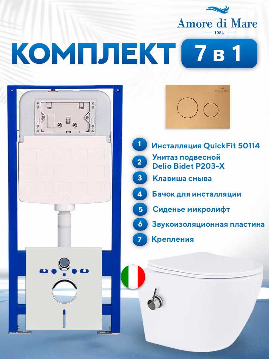 Комплект инсталляции Amore di Mare QuickFit 50114 с унитазом с функцией биде Delio Bidet P203-X с кнопкой 303G, 7 в 1, Италия