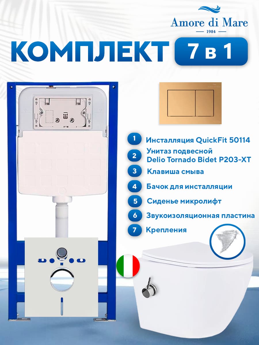 Комплект инсталляции Amore di Mare QuickFit 50114 с унитазом Delio Tornado Bidet P203-XT с кнопкой 814G 7 в 1, Италия