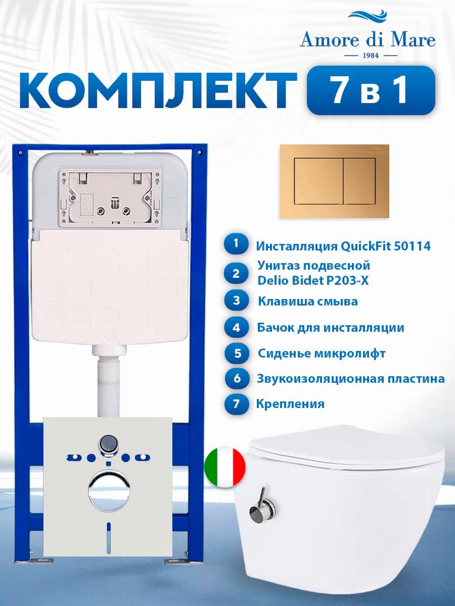 Комплект инсталляции Amore di Mare QuickFit 50114 с унитазом с функцией биде Delio Bidet P203-X с кнопкой 814G, 7 в 1, Италия
